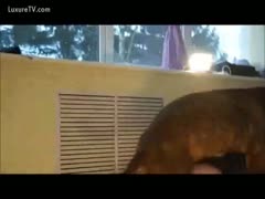 In this xxx beastiality film, a K9 ravages a rough sex addict's anus.